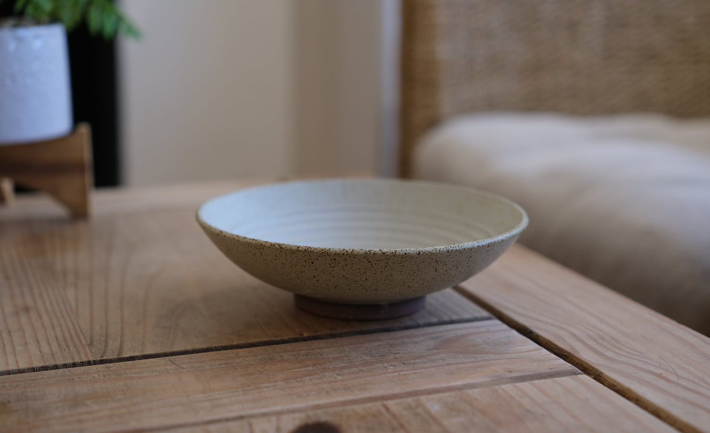 Rustic Japanese Bowl