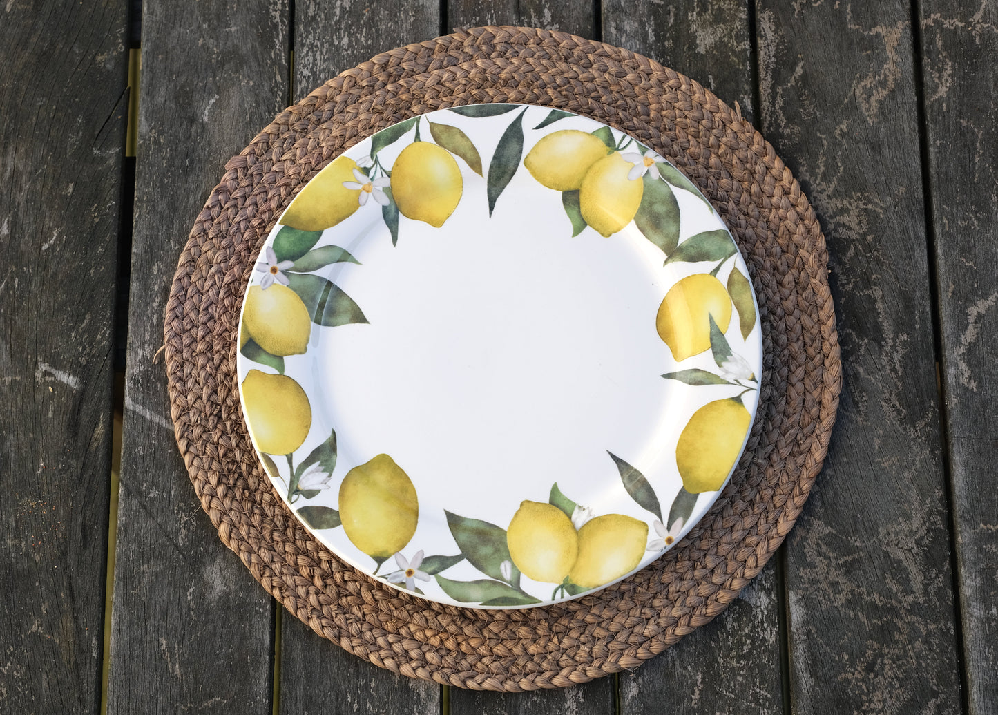 Lemon Grove Large Plate